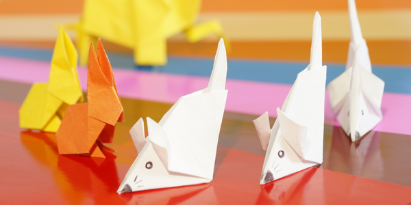 Papírová zvířátka